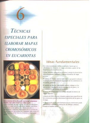 Griffiths anthony   genetica (7ed)