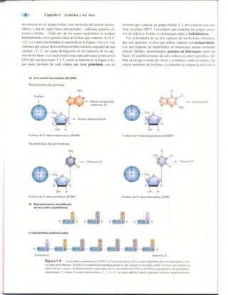 Griffiths anthony   genetica (7ed)