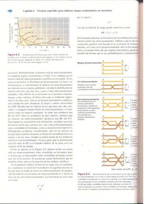Griffiths anthony   genetica (7ed)