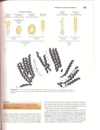 Griffiths anthony   genetica (7ed)