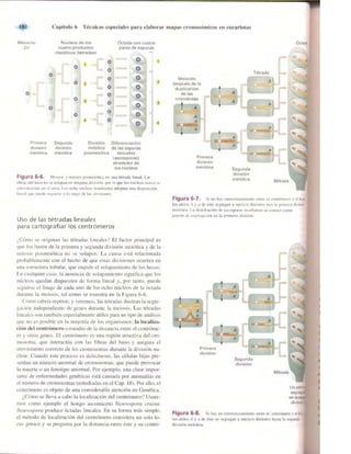 Griffiths anthony   genetica (7ed)