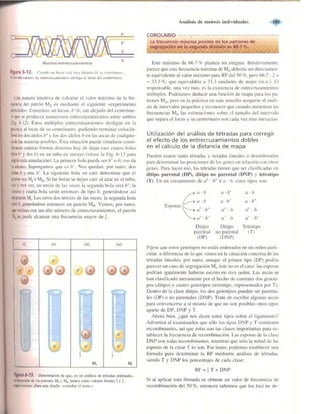 Griffiths anthony   genetica (7ed)