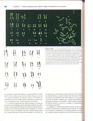 Griffiths anthony   genetica (7ed)