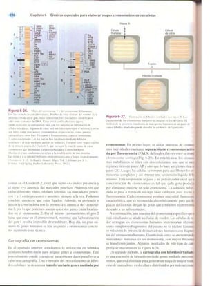 Griffiths anthony   genetica (7ed)