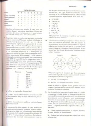 Griffiths anthony   genetica (7ed)