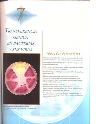 Griffiths anthony   genetica (7ed)