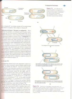 Griffiths anthony   genetica (7ed)