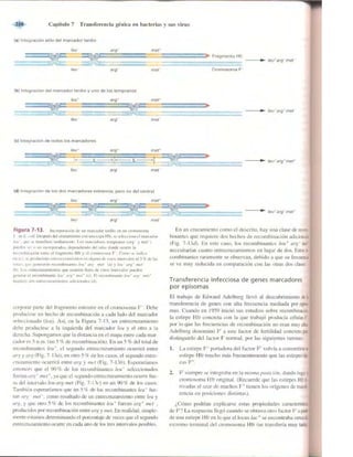 Griffiths anthony   genetica (7ed)