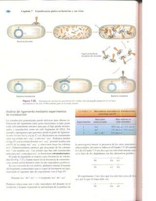 Griffiths anthony   genetica (7ed)