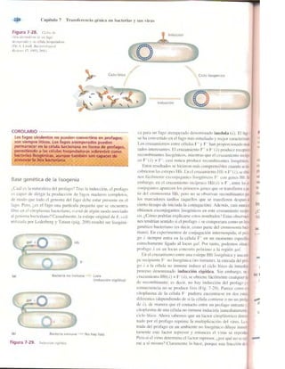 Griffiths anthony   genetica (7ed)