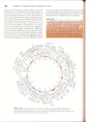 Griffiths anthony   genetica (7ed)