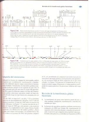 Griffiths anthony   genetica (7ed)