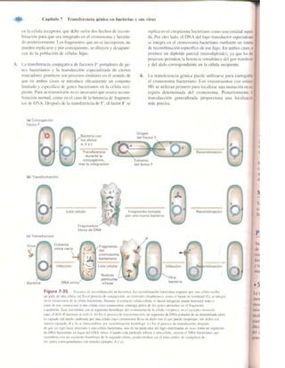 Griffiths anthony   genetica (7ed)