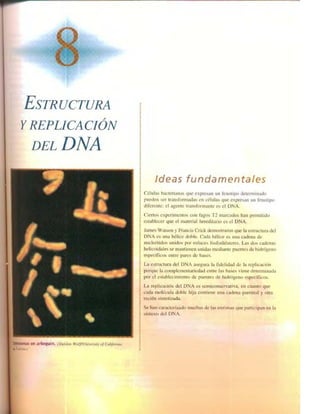 Griffiths anthony   genetica (7ed)