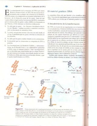 Griffiths anthony   genetica (7ed)