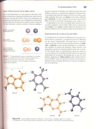 Griffiths anthony   genetica (7ed)