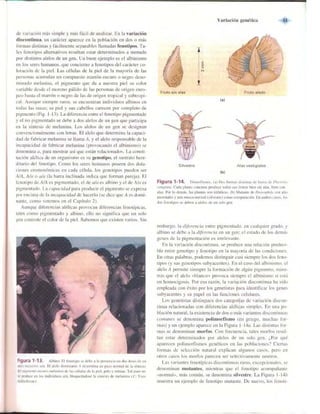 Griffiths anthony   genetica (7ed)