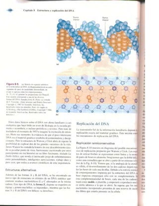 Griffiths anthony   genetica (7ed)