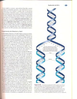 Griffiths anthony   genetica (7ed)