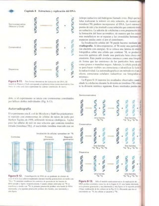 Griffiths anthony   genetica (7ed)