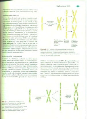 Griffiths anthony   genetica (7ed)