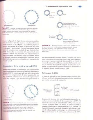 Griffiths anthony   genetica (7ed)