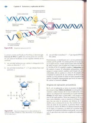 Griffiths anthony   genetica (7ed)