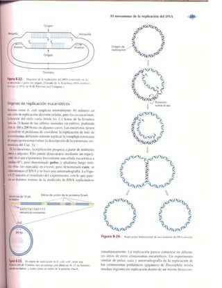 Griffiths anthony   genetica (7ed)