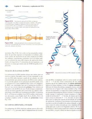 Griffiths anthony   genetica (7ed)