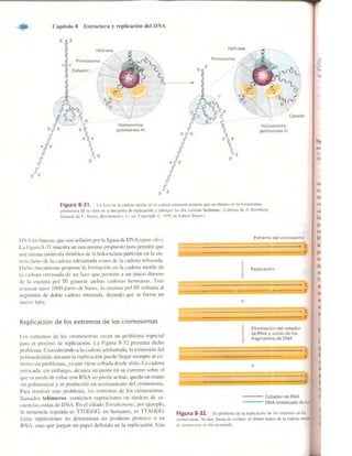 Griffiths anthony   genetica (7ed)