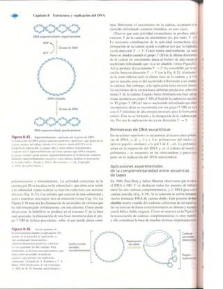 Griffiths anthony   genetica (7ed)