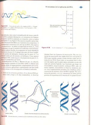 Griffiths anthony   genetica (7ed)