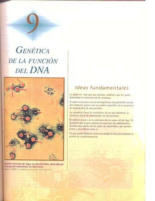 Griffiths anthony   genetica (7ed)