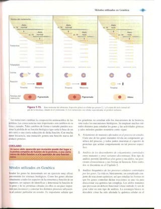 Griffiths anthony   genetica (7ed)