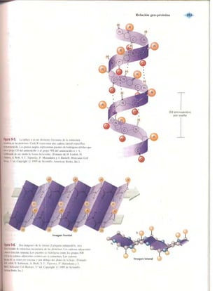 Griffiths anthony   genetica (7ed)