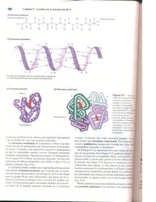 Griffiths anthony   genetica (7ed)