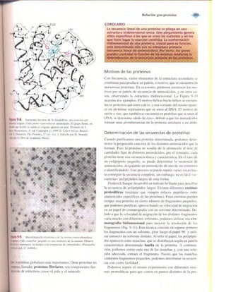 Griffiths anthony   genetica (7ed)