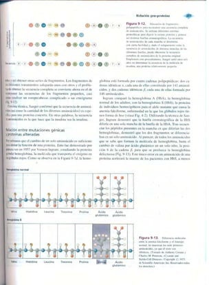 Griffiths anthony   genetica (7ed)