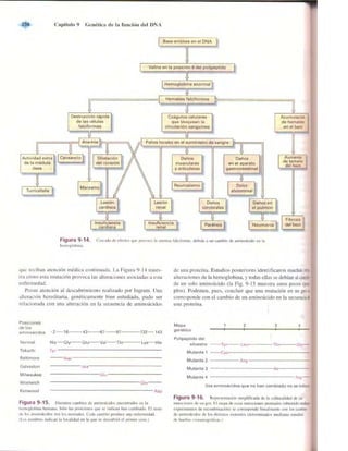 Griffiths anthony   genetica (7ed)