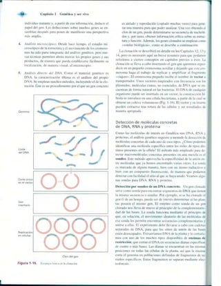 Griffiths anthony   genetica (7ed)