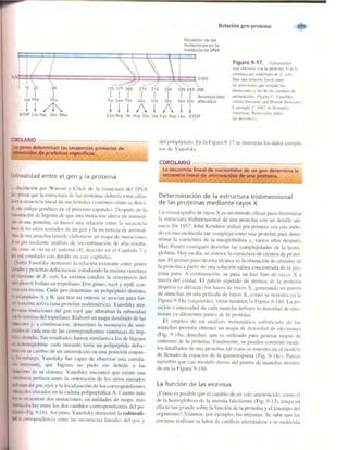 Griffiths anthony   genetica (7ed)