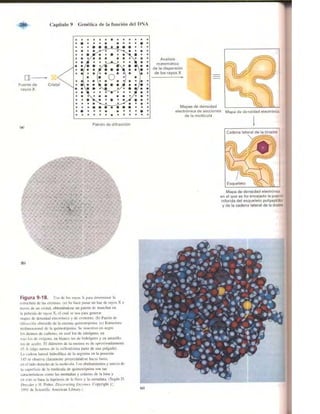 Griffiths anthony   genetica (7ed)