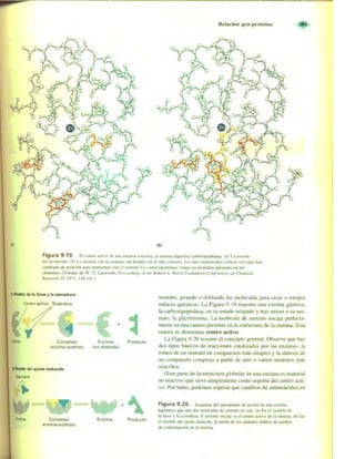 Griffiths anthony   genetica (7ed)
