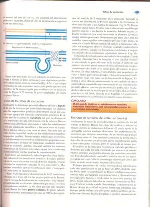 Griffiths anthony   genetica (7ed)