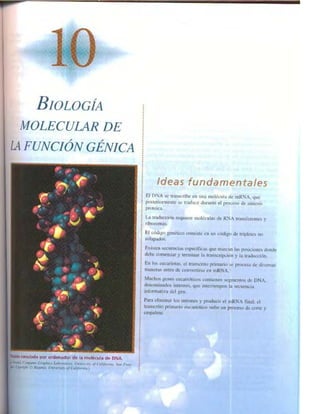 Griffiths anthony   genetica (7ed)