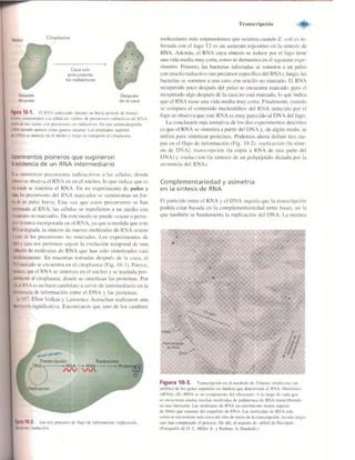 Griffiths anthony   genetica (7ed)