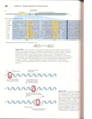 Griffiths anthony   genetica (7ed)