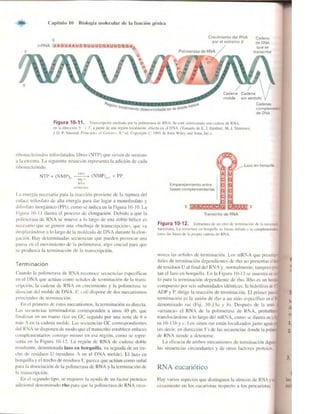 Griffiths anthony   genetica (7ed)