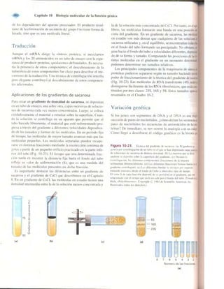 Griffiths anthony   genetica (7ed)