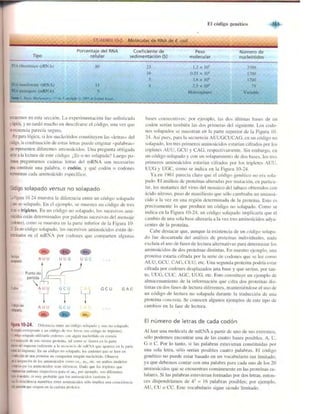 Griffiths anthony   genetica (7ed)